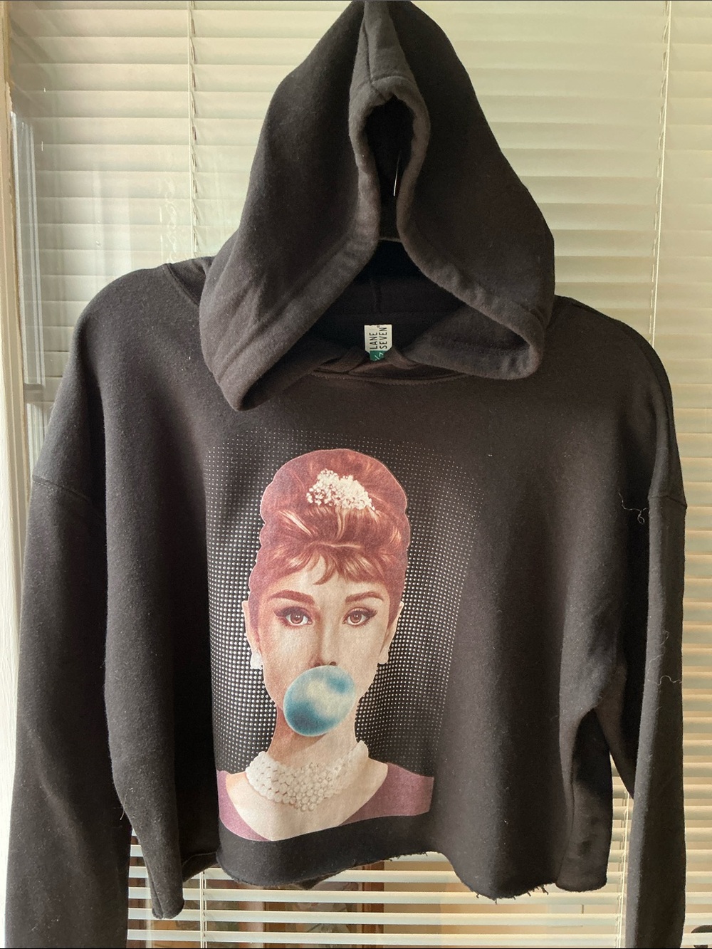 AUDREY HEPBURN NWOT Cropped Hoodie, Size Small